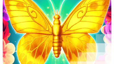 나비의 꽃 [Butterfly Blossom]